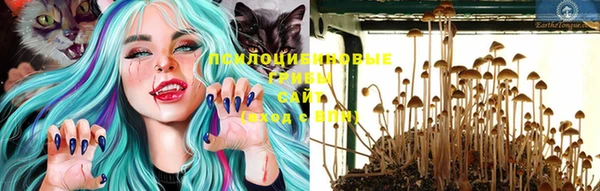 героин Елизово