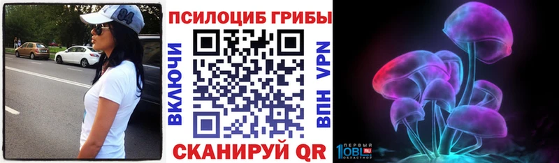 Купить закладки  Нальчик  Галлюциногенные грибы Psilocybe 